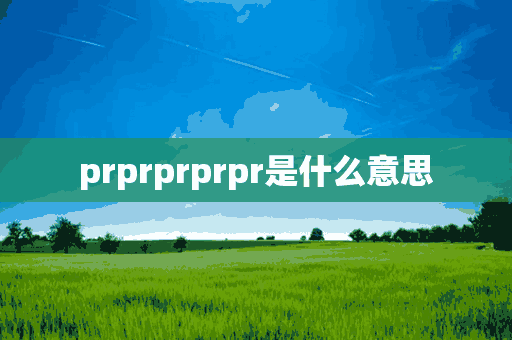 prprprprpr是什么意思